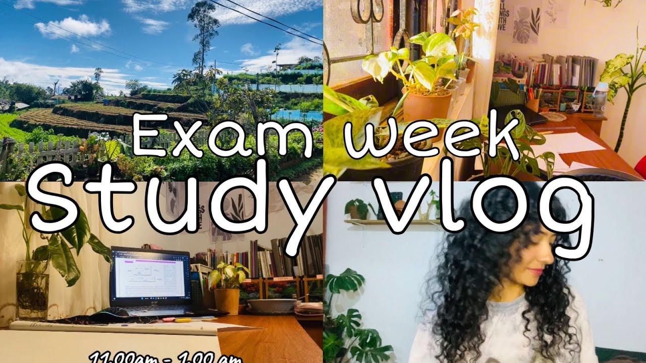 45 self study challenge එකෙන් දවස් කිහිපයක්.| නුවරඑලියෙ සීතලම කාලෙ පාඩම් කරපු විදිහ🌨️🌈🪴