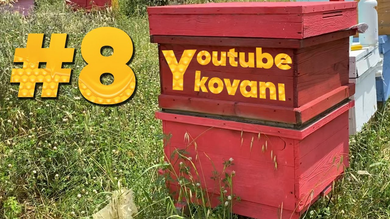 Youtube Kovanımıza Kat Atıyoruz! 8.Bölüm