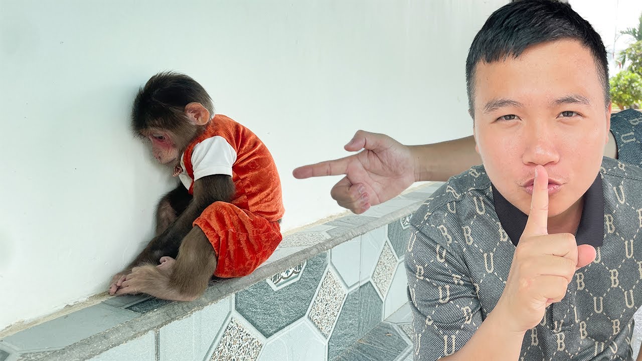 Dad Pretends Angry! Cubis's unexpected reaction when makes mistake!