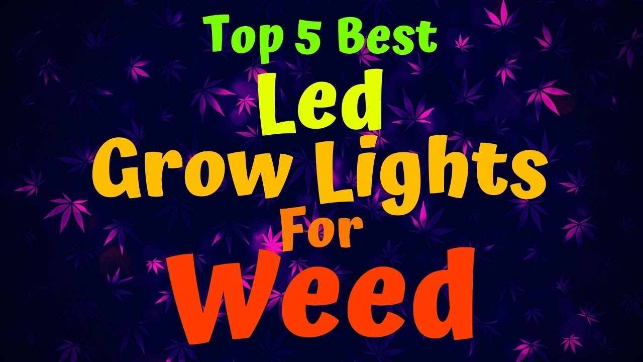 Best Led Grow Lights For Weed