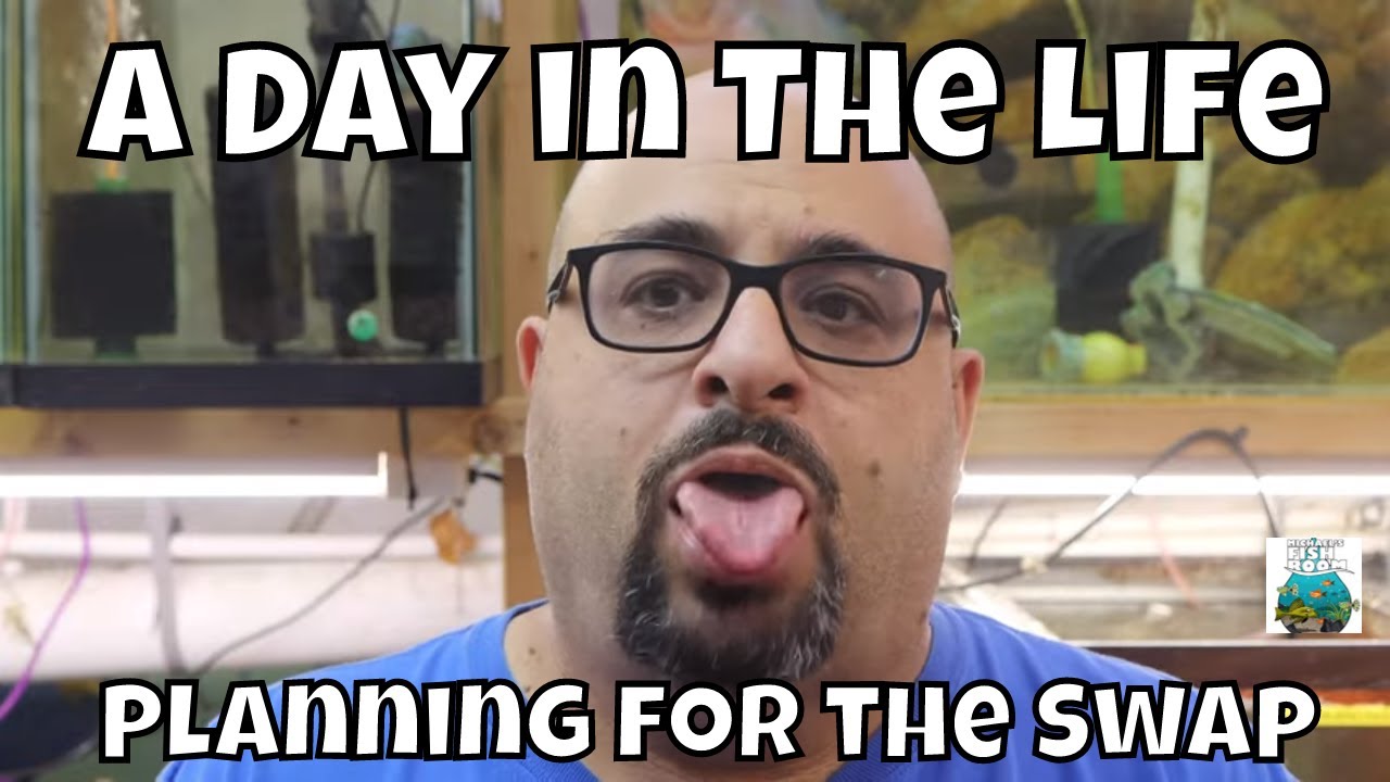 A Day in the Life of Michael's Fish Room