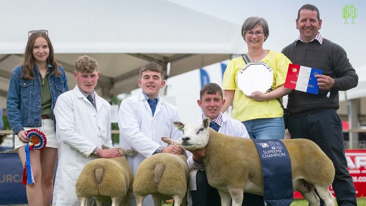 Andrew Ballie - Beltex Breeder