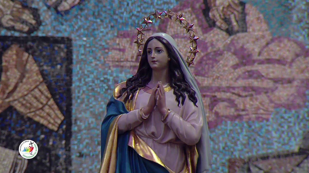 Santa Messa ore 11:30