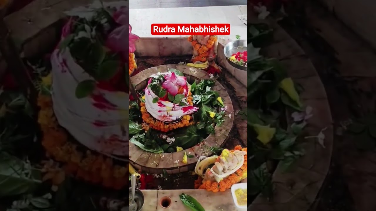 Rudra Mahabhishek l Shiv Bhakti l रुद्रा महाभिषेक  Selection Mahakumbh l