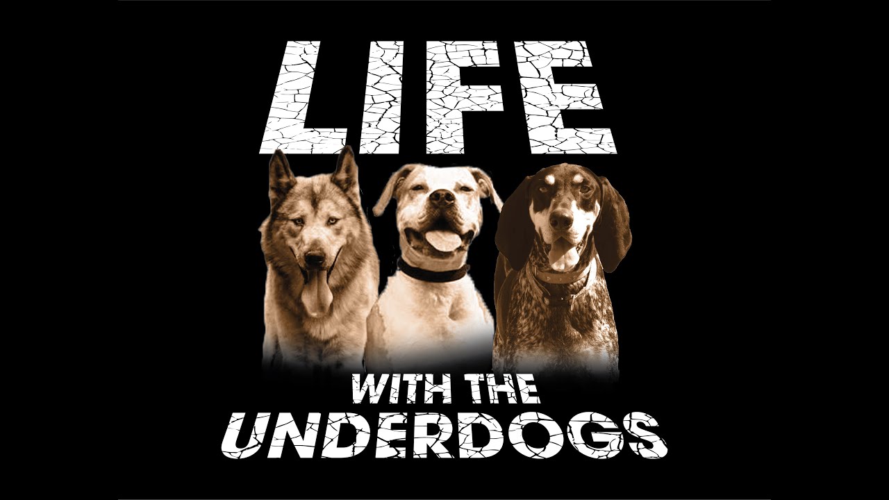 Life with the Underdogs - The Kayak Rescue (premiere episode)