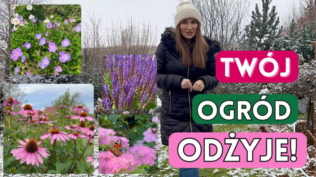 CZYM NAWOZIĆ OGRÓD? Nawozy naturalne i mineralne - jaki wybrać?