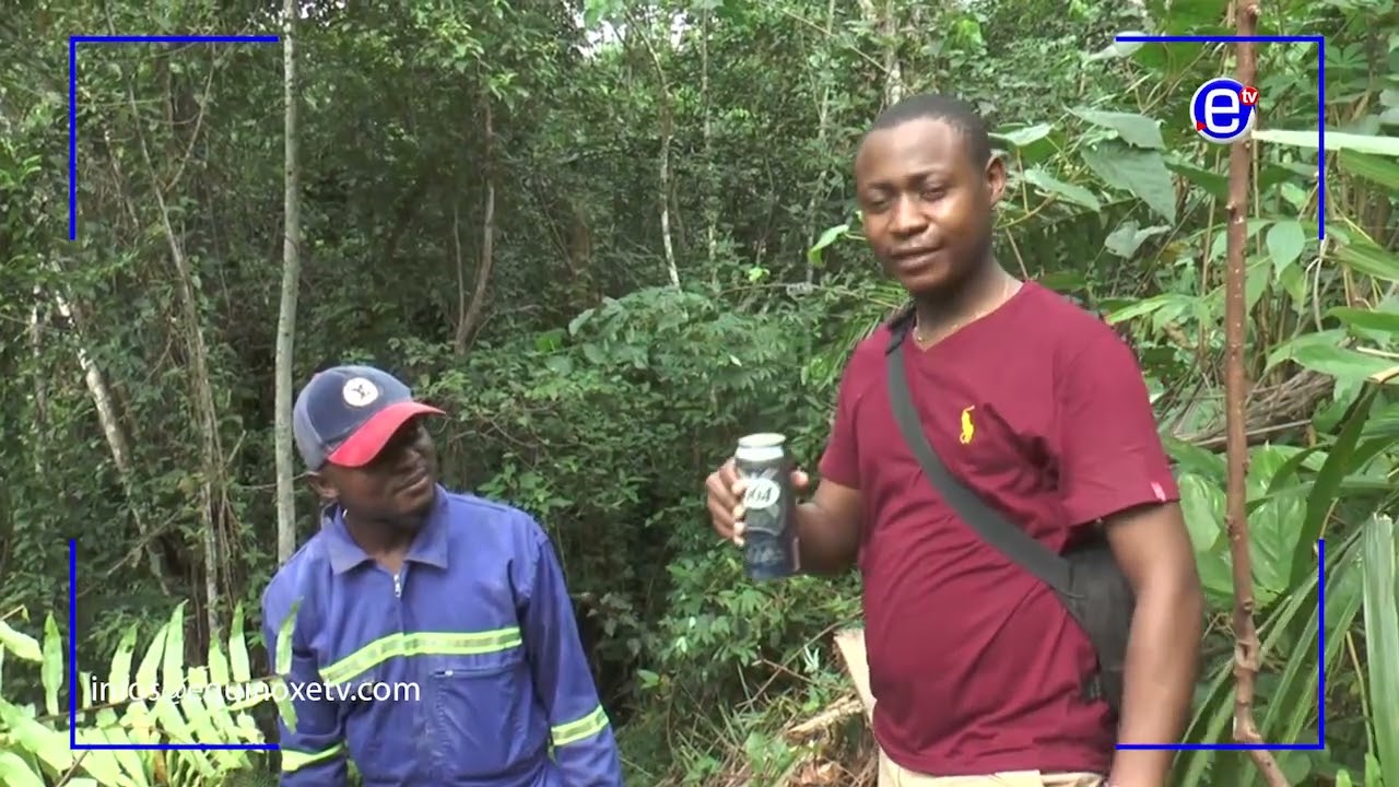 MAGAZINE DE PRODUCTION DE VIN DE PALME - ÉQUINOXE TV