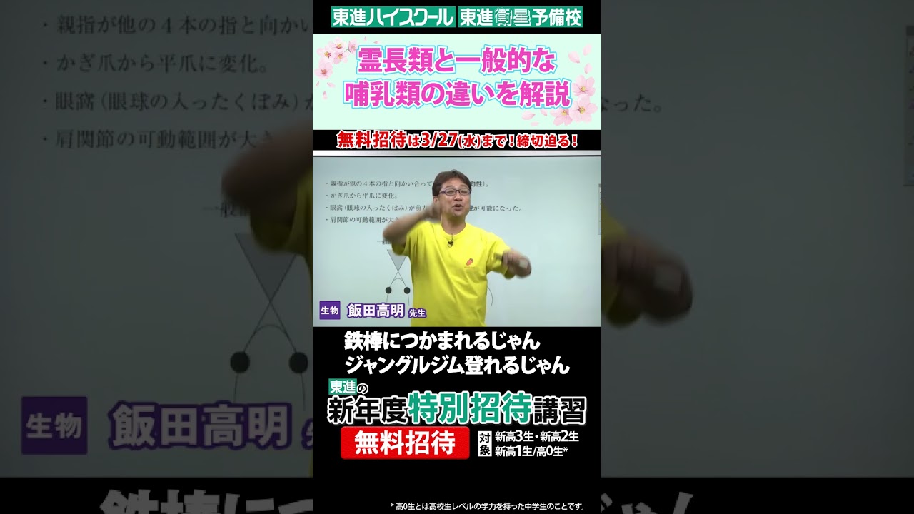 霊長類と一般的な哺乳類の違いを解説【飯田高明先生】
