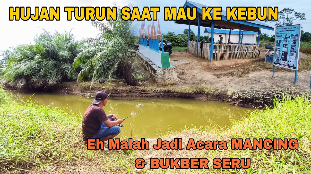 HUJAN TURUN SAAT MAU KE KEBUN, Eh Malah Jadi Acara MANCING & BUKBER SERU!