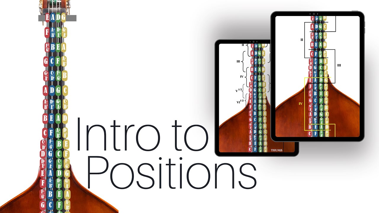 Introduction to Fingerboard Positions on the Upright Bass