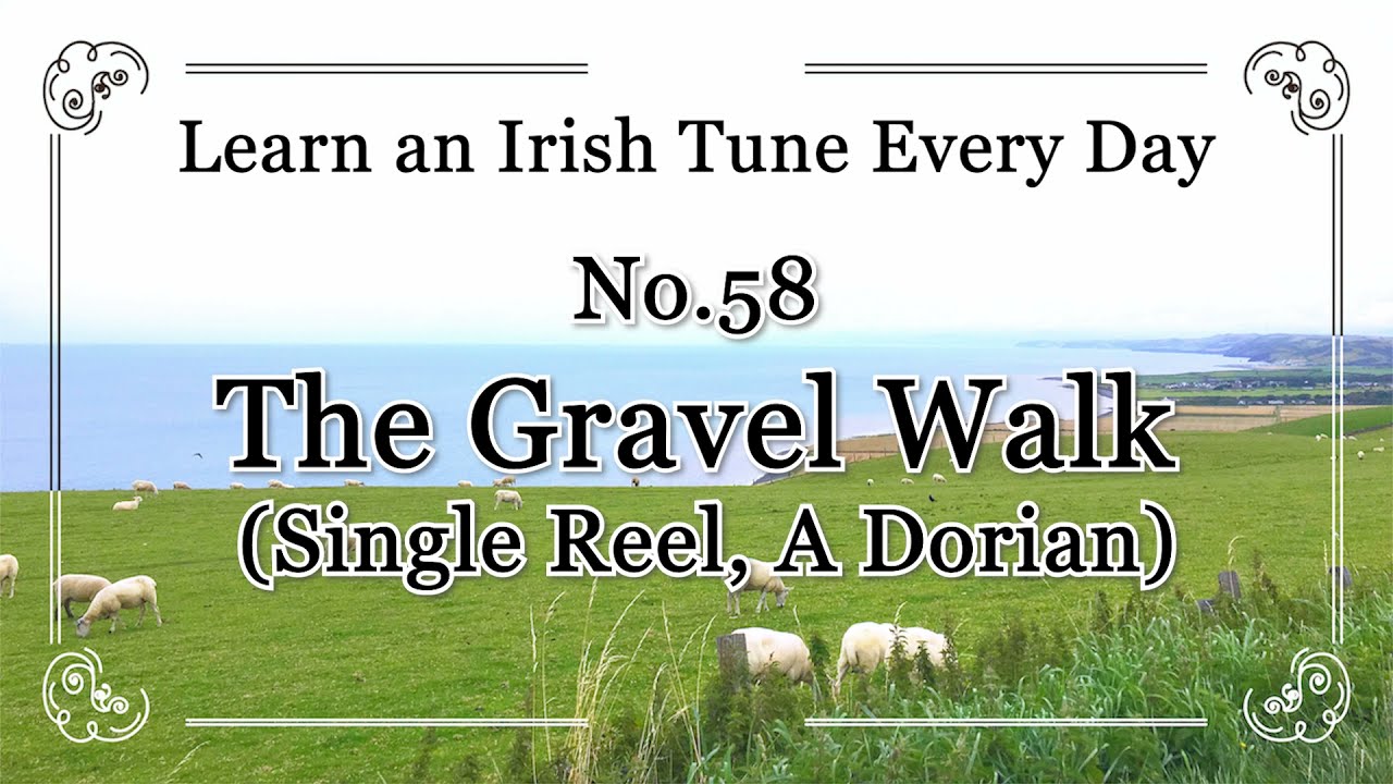 058 The Gravel Walk (Single Reel, A Dorian) Learn an Irish Tune Everyday.