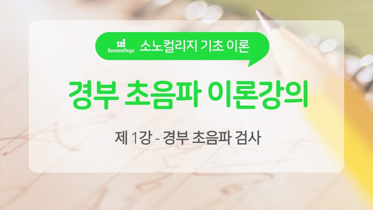 소노컬리지,  경부 초음파 이론 강의