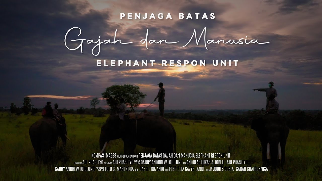 Penjaga Batas, Gajah dan Manusia