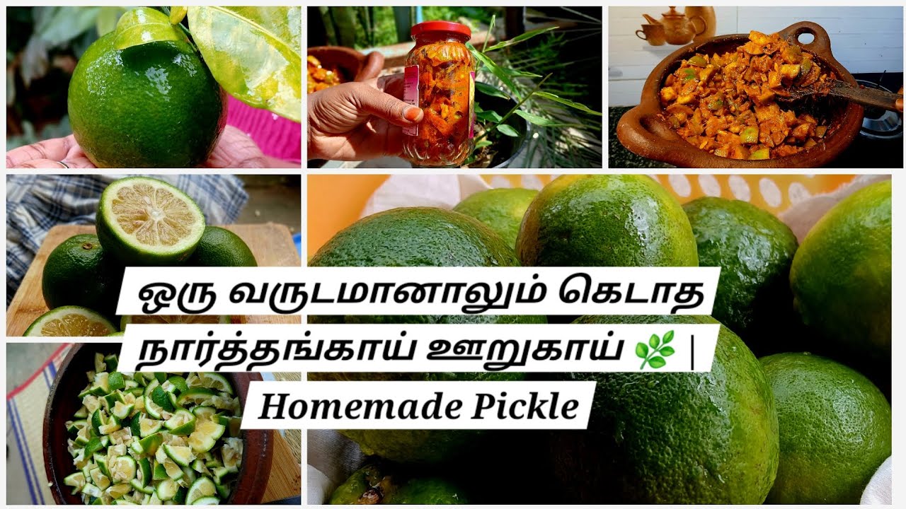 இந்த Pickle சாப்பிட்டா Doctor தேவை இல்லை! 👩‍⚕️ | Narthangai Pickle | Immunity + Health Benefits