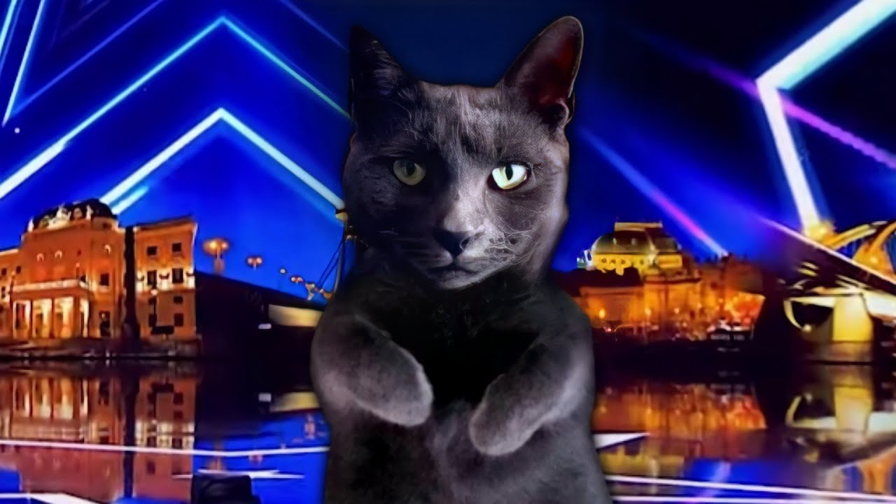 MAČKA JACKIE V ČESKO SLOVENSKO MÁ TALENT!