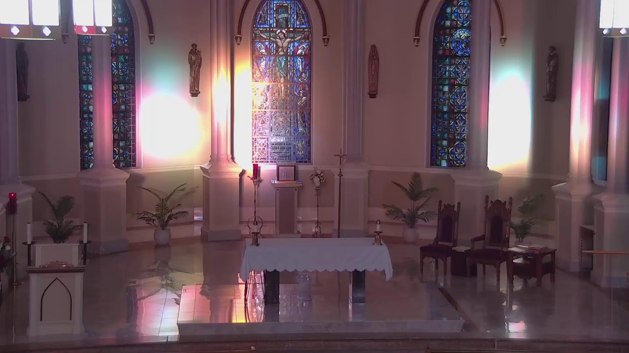 Cane Catholics  Live Stream