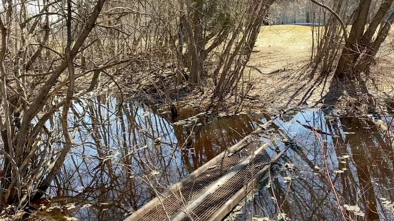 Wagner Ravine Walk April-May 2020