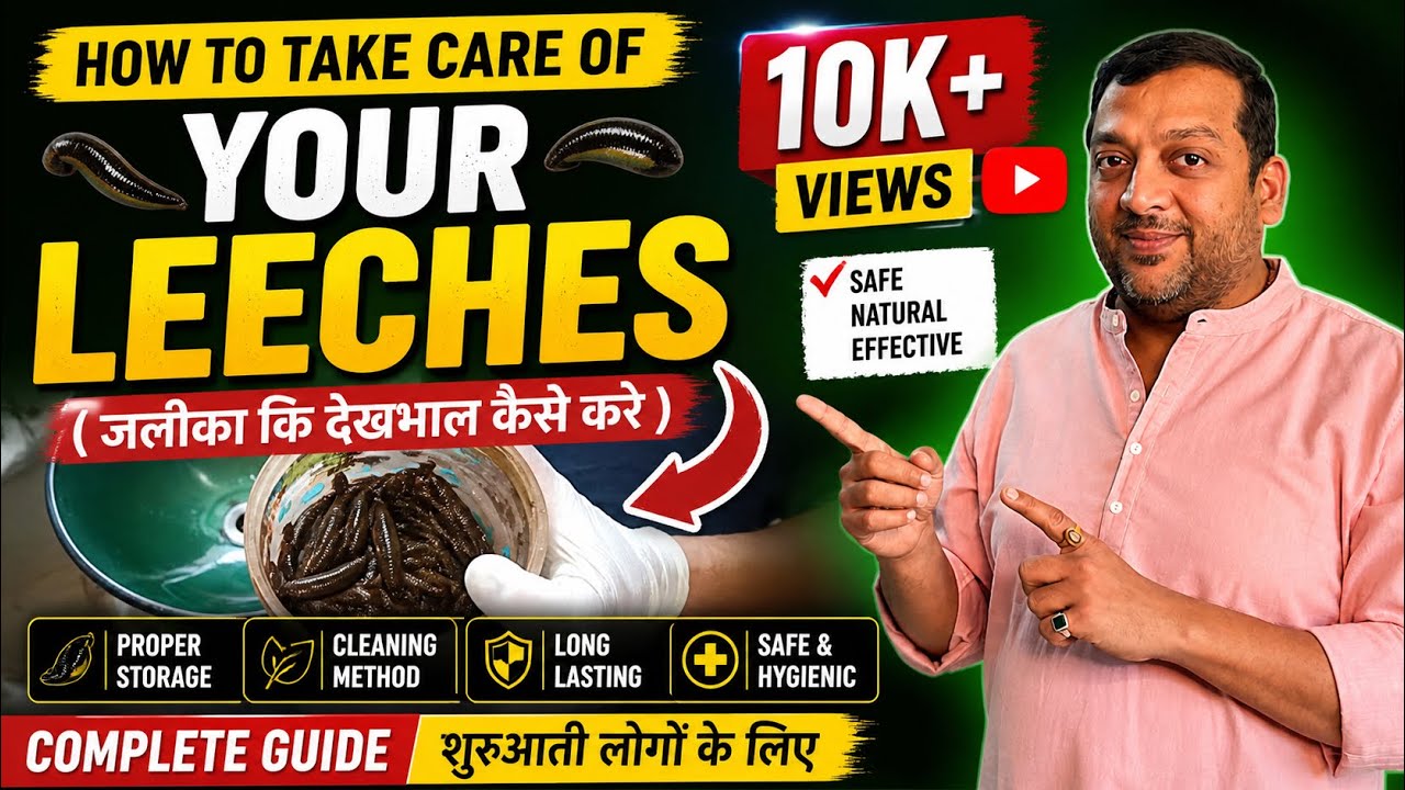 How to take care of your Leeches (जलौका कि देखभाल कैसे करे )