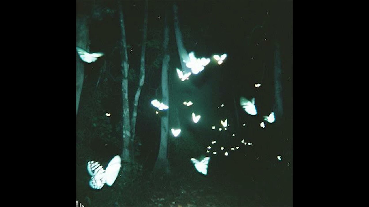 [free for profit] clams casino x yung Lean type beat - 