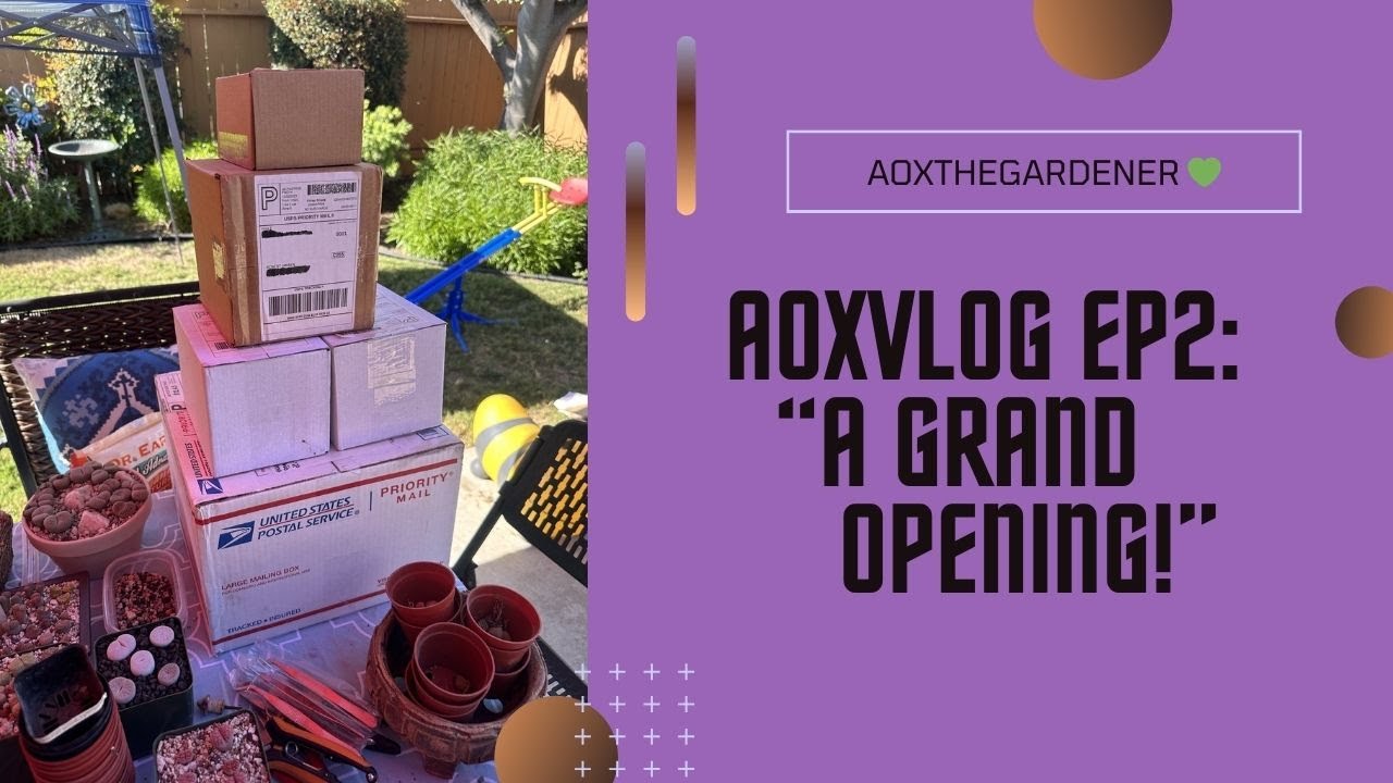 AoxVlog Episode #2 -  