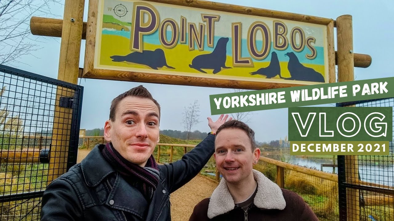 Point Lobos Sea Lions - Yorkshire Wildlife Park 2021 Vlog