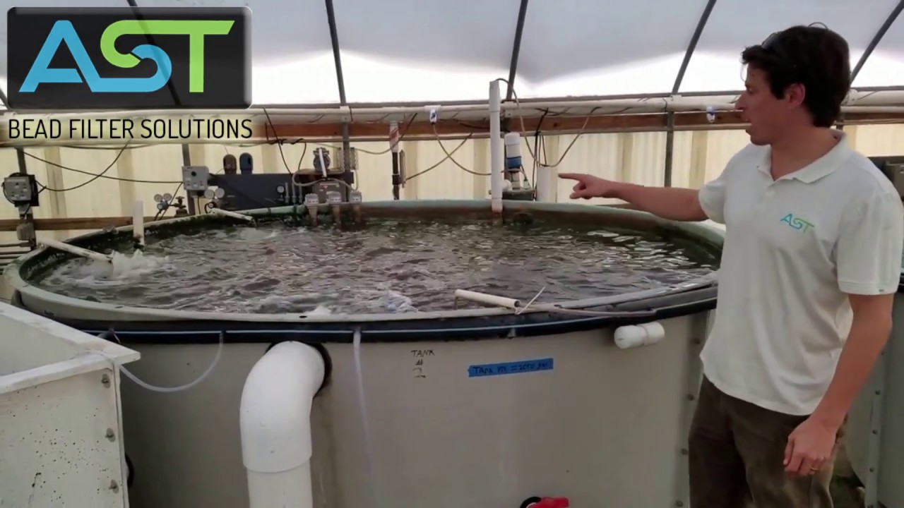 Gravity Fed, Airlifted Return RAS for Energy Savings up to 60%! AST Low Profile PolyGeyser