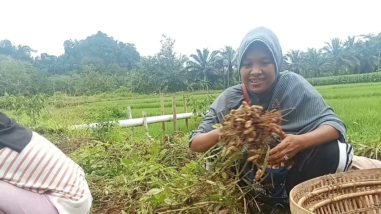 Aktivitas Puasa Ringan Menghasilkan Cuan
