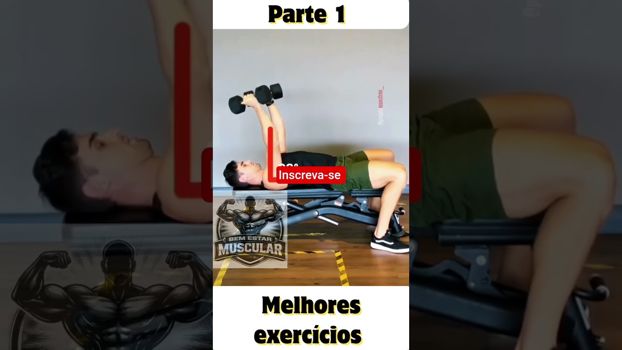 Melhores exercícios para cada grupo muscular 💪🔥