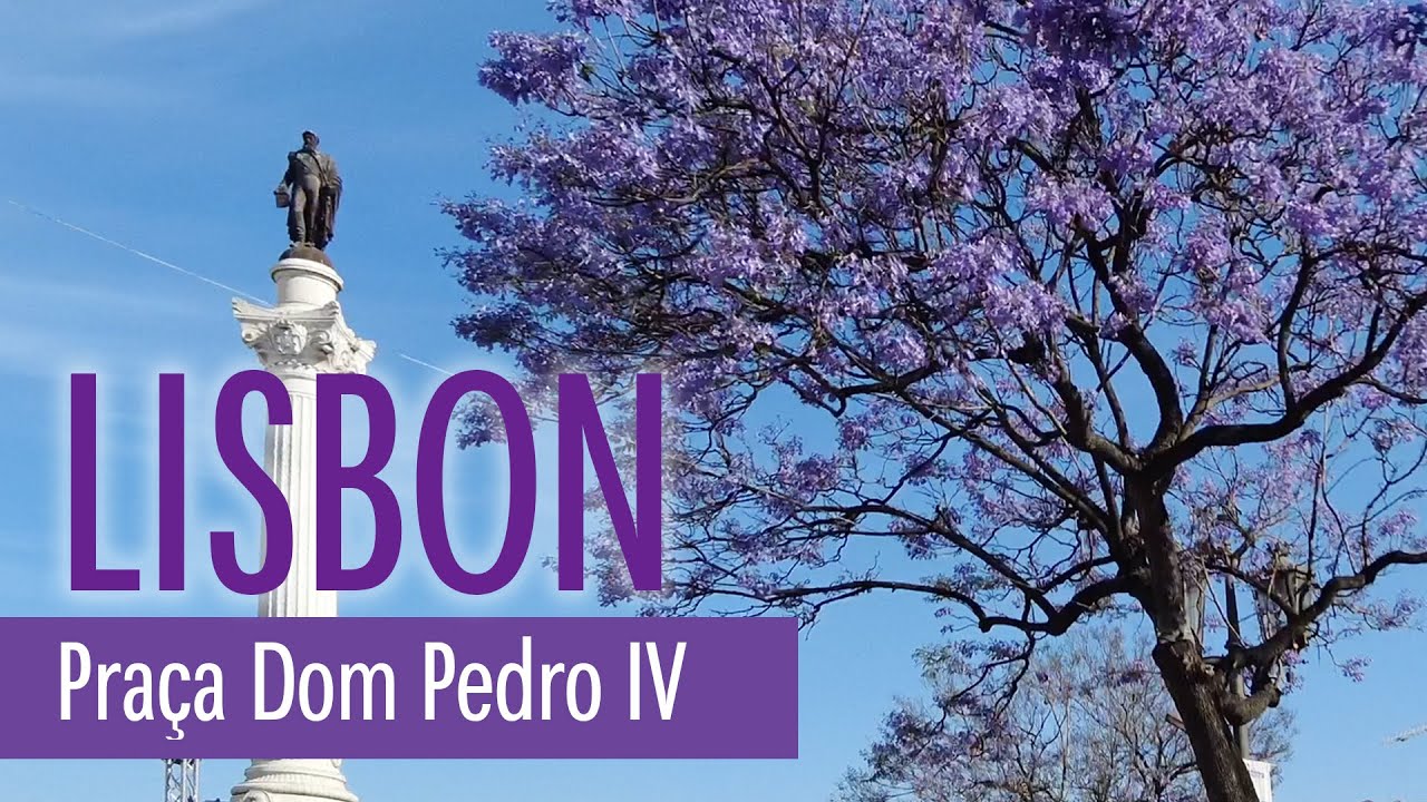 Lisbon in Purple - Pra&ccedil;a Dom Pedro IV