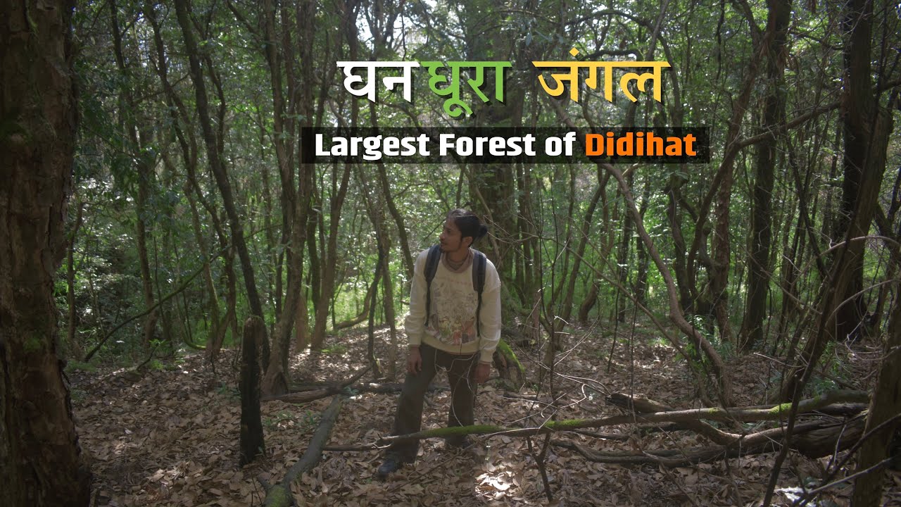 Ghaneli Naag (घणेली नाग) Temple: A Trail of Faith and Believe | Ghan Dhura
