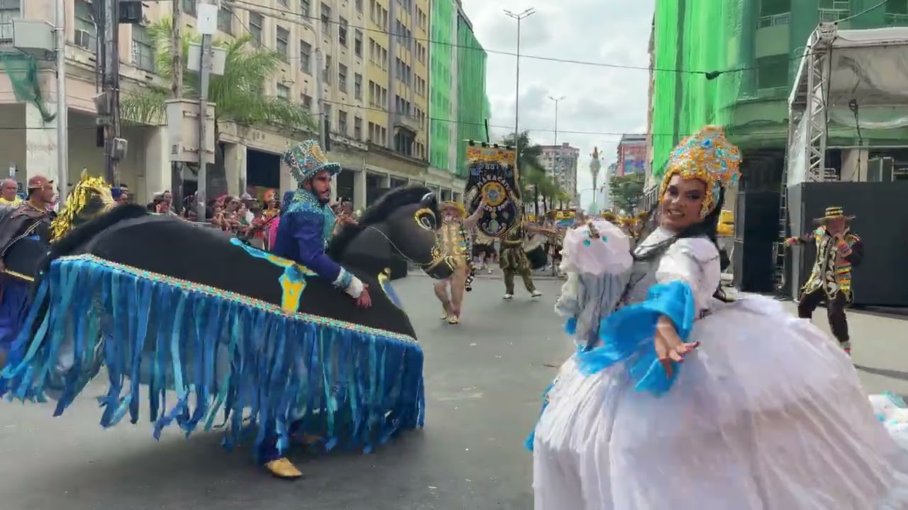 Boi Maracatu - Concurso do Recife 2026