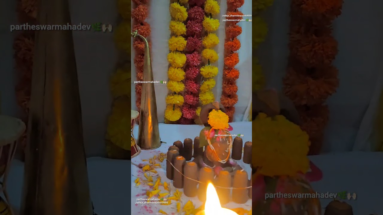 Day 3 mahadev puja 🌿 #mahadev #savan puja