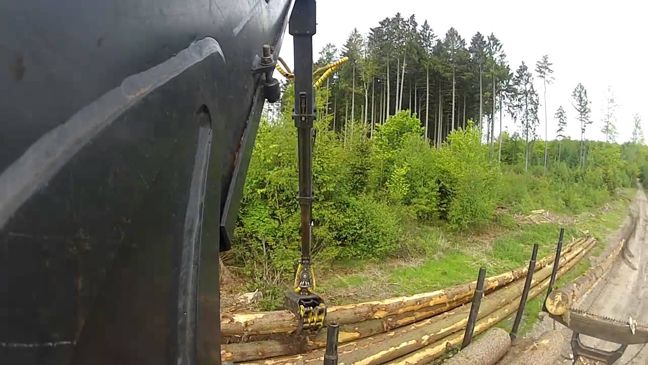 Ein bischen Langholz