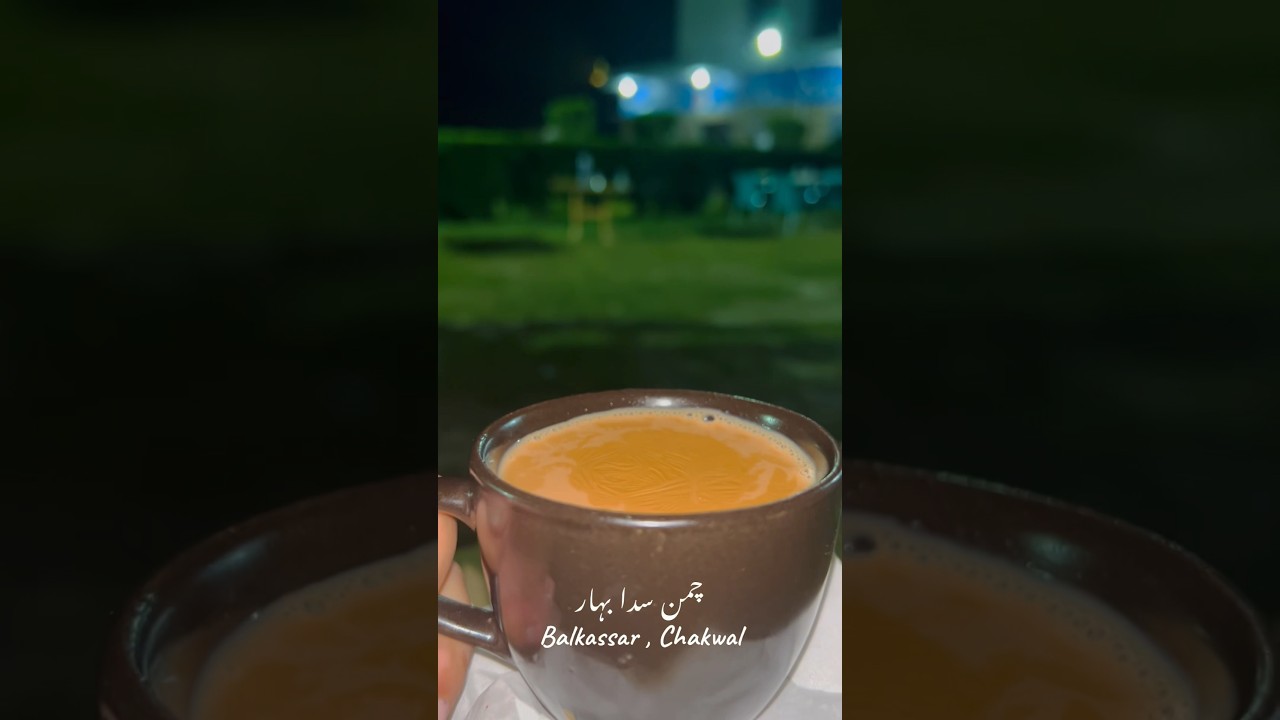 Tere Hawaly Krdiya ❤️ #explorechakwal #pakistan #balkassar #foryou #chai #shorts