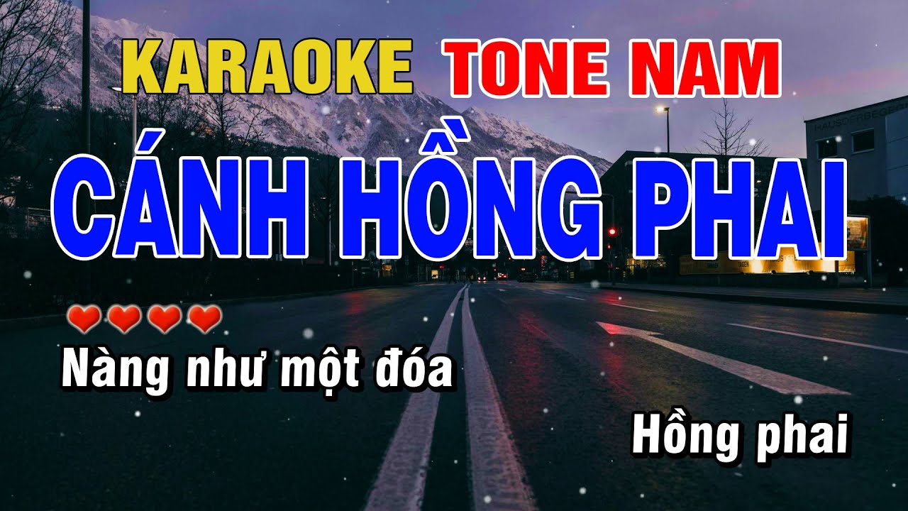 Cánh Hồng Phai Karaoke Tone Nam Beat Hay | Karaoke Chill