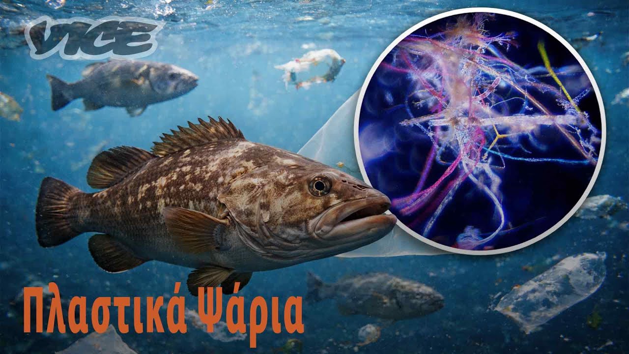 Πλαστικά Ψάρια Ελληνικό Ντοκιμαντέρ - Aug 21, 2023 - VICE
