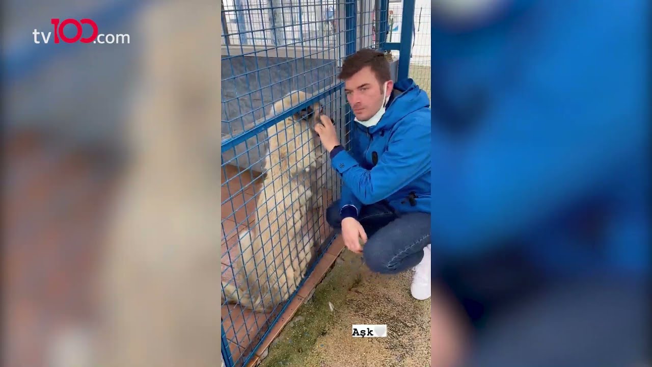 Kıvanç Tatlıtuğ ağlamamak için kendini zor tuttu
