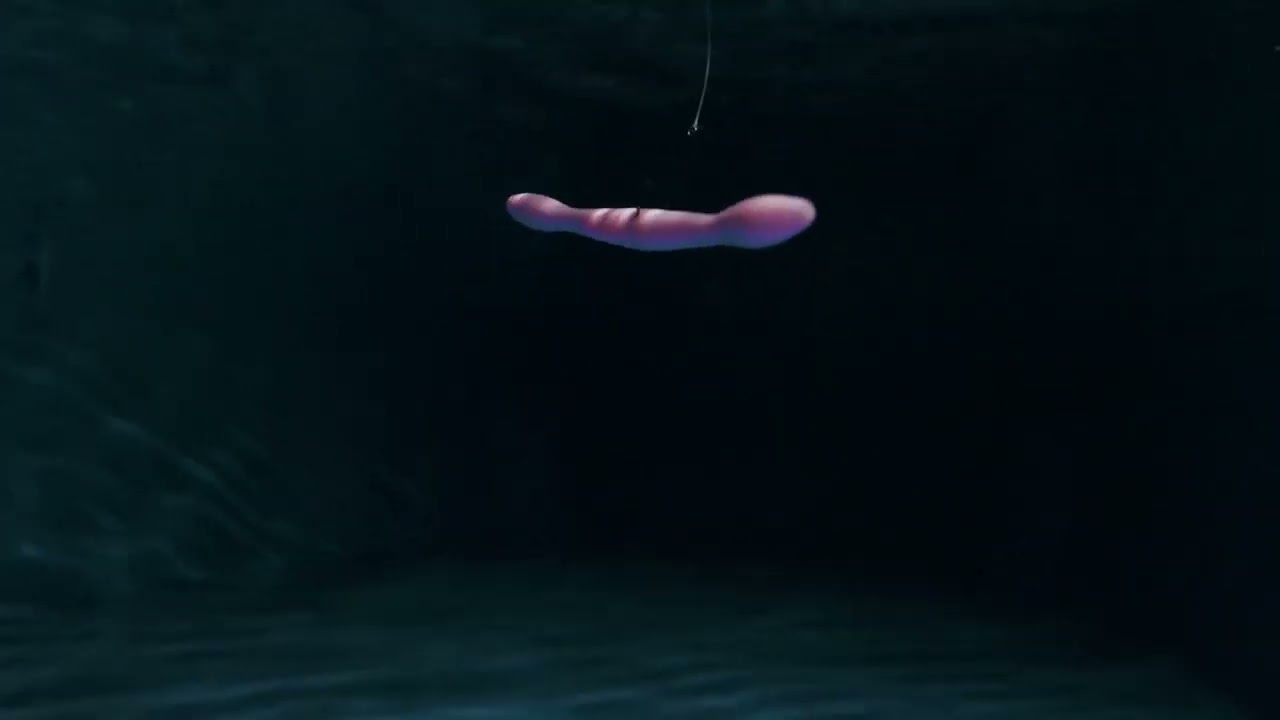 David Dudley's Wacky Worm | It's all about the SHIMMY!