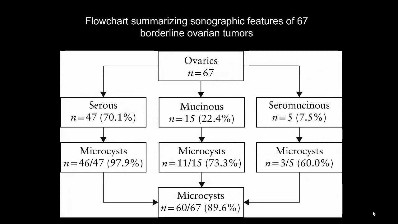 New sonographic marker borderline ovarian tumor: microcystic pattern of papillae & solid components