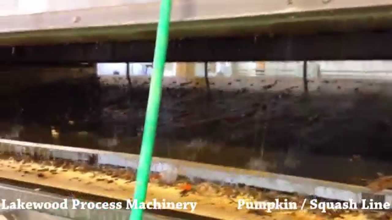 Lakewood Process Machinery Brush Washer (Squash / Pumpkin Line)