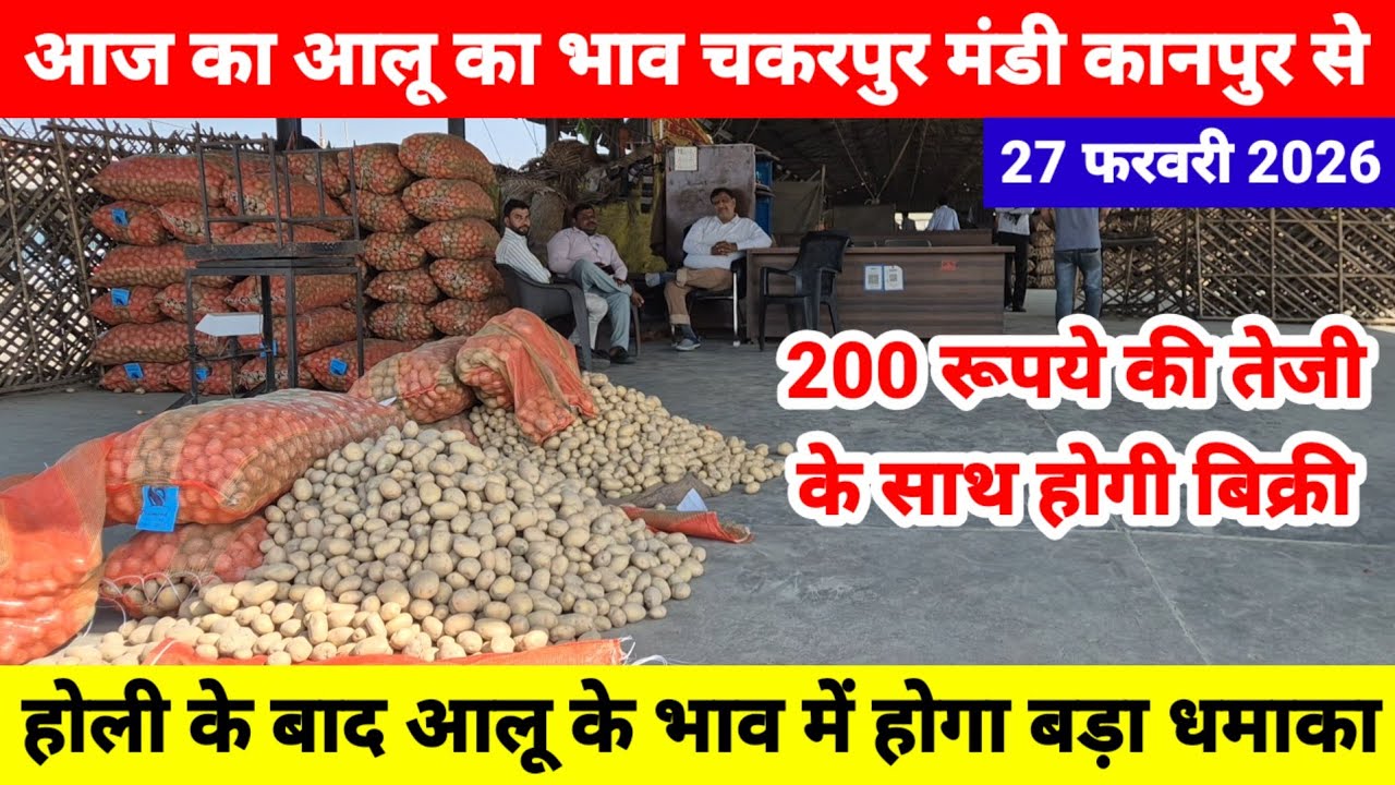 27 फरवरी 2026 // आज का आलू का भाव चकरपुर मंडी कानपुर से होली के बाद आलू के भाव में होगा बड़ा धमाका