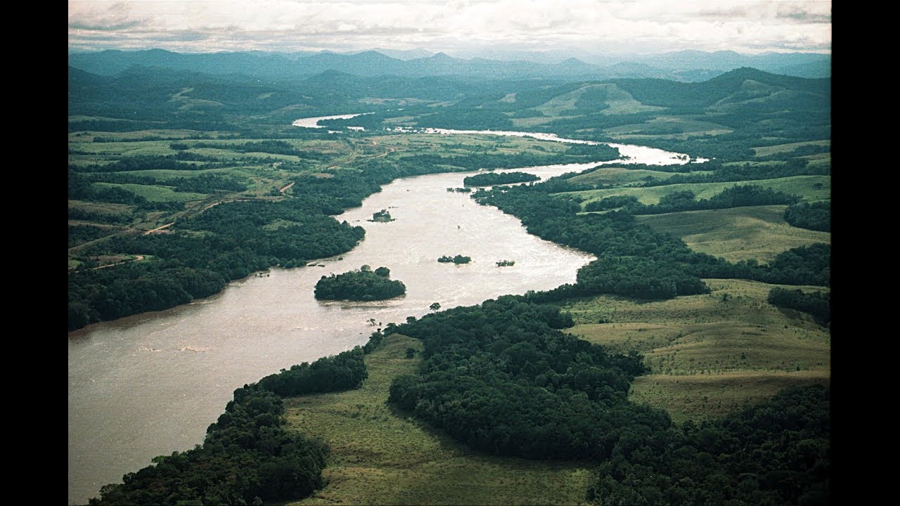 La diversité biologique des poissons au fleuve Ogooué
