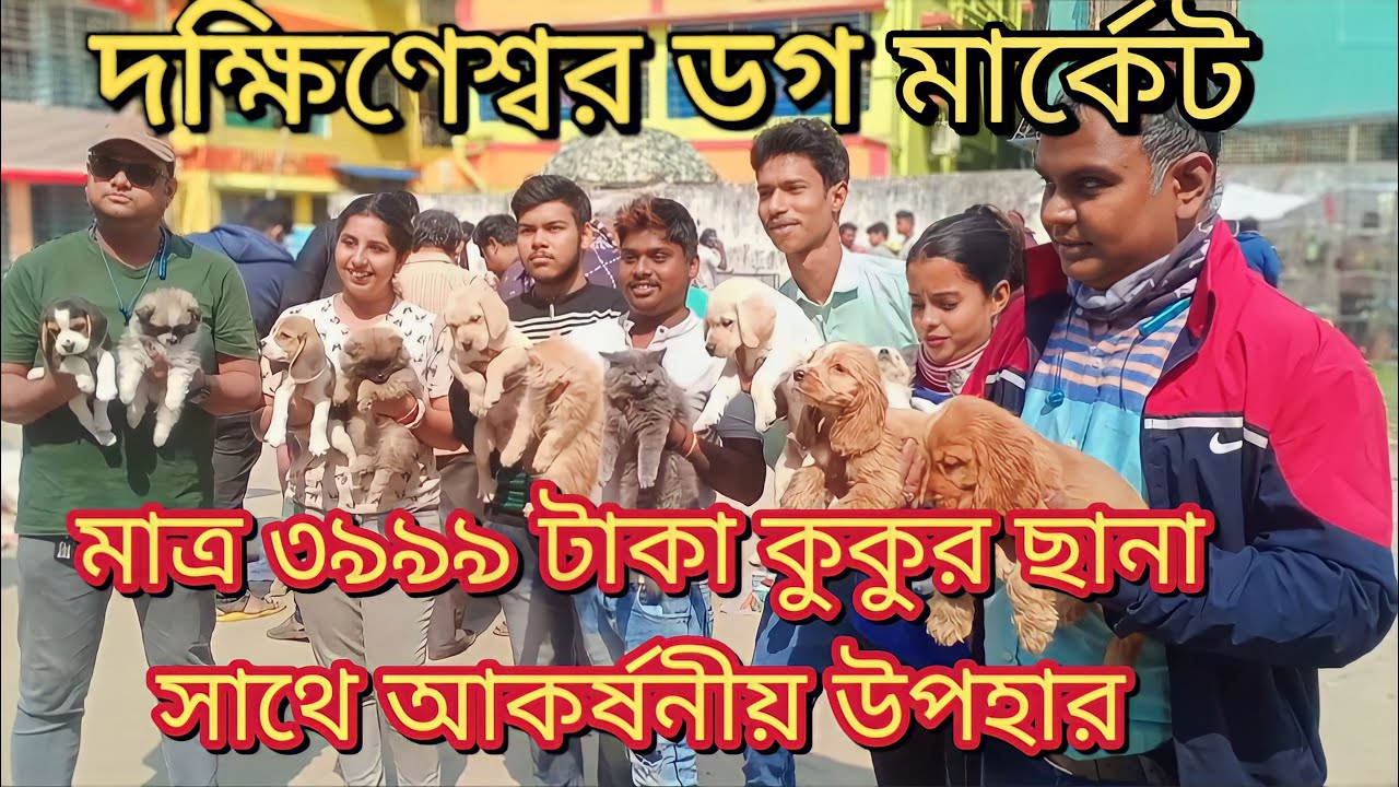 মাত্র ৩৯৯৯ টাকা কুকুর ছানা।। DAKSHINESWAR DOG MARKET IN KOLKATA || দক্ষিণেশ্বর পশু পাখির হাট কলকাতা