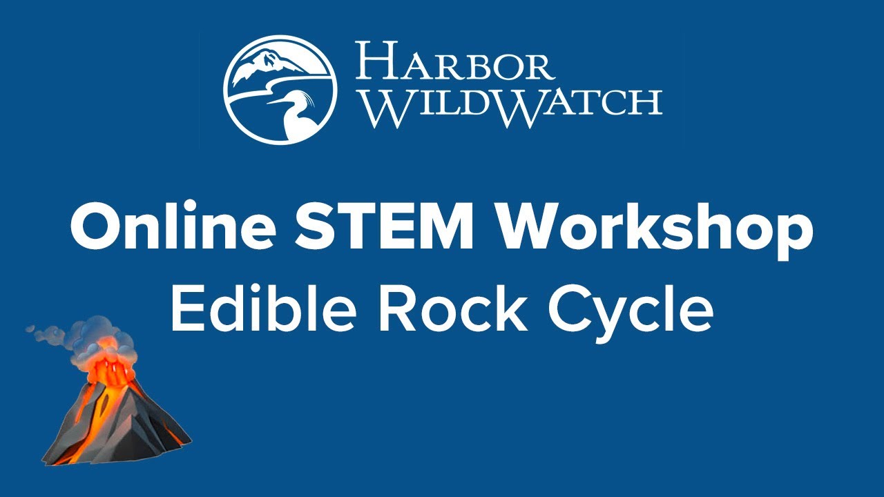 Online STEM Workshop - Edible Rock Cycle