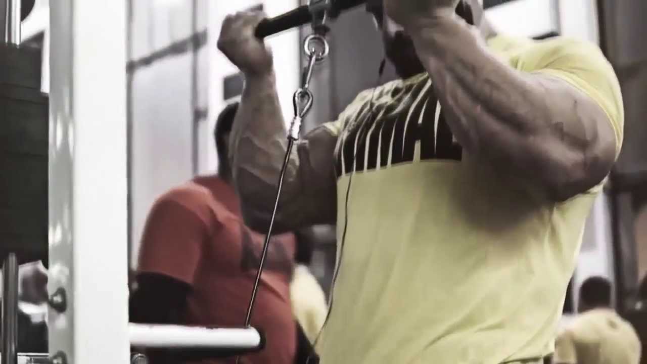 LEV&Aacute;NTATE Y BRILLA - MOTIVACI&Oacute;N GYM