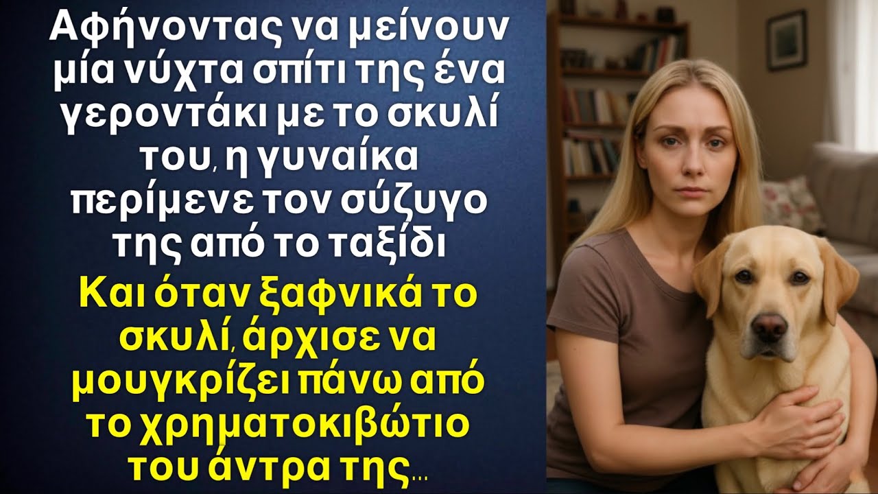 Αφήνοντας ένα γεροντάκι με το σκυλί του σπίτι της, είδε ότι ο σκύλος γαύγιζε στο χρηματοκιβώτιο￼…