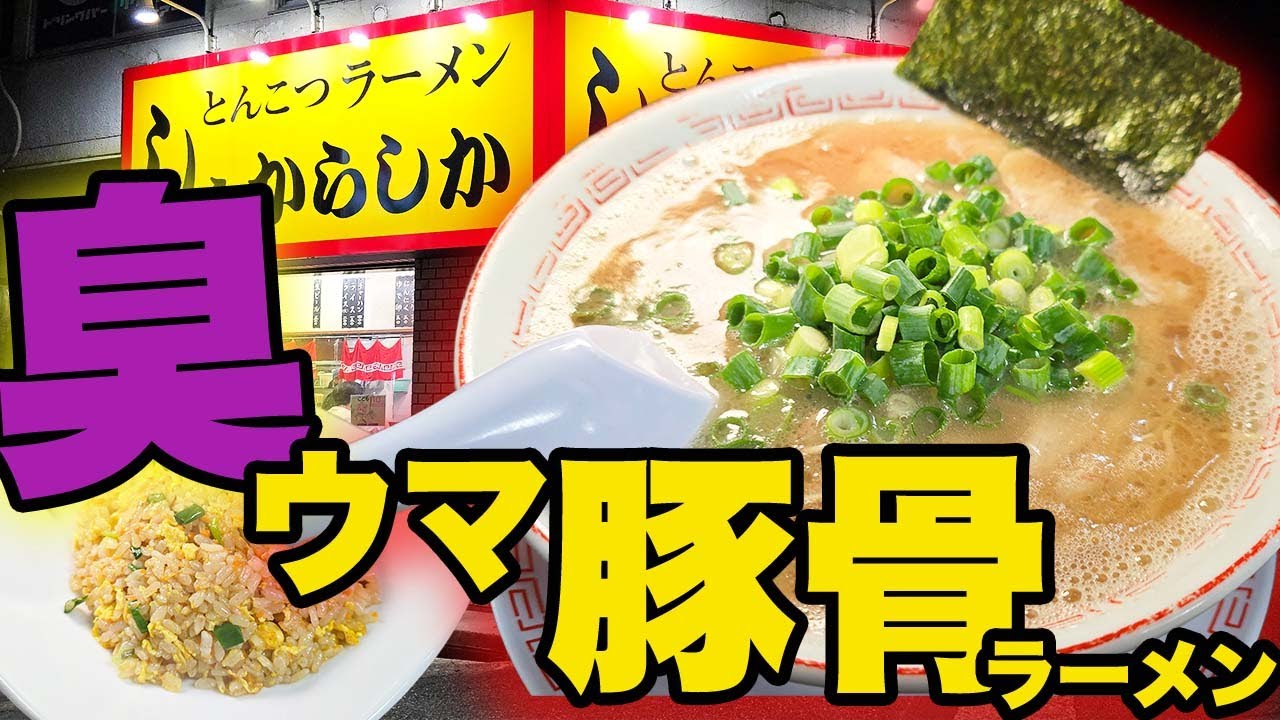 豚骨ラーメン臭ウマ直球！深夜行列の800円神一杯｜しぇからしか