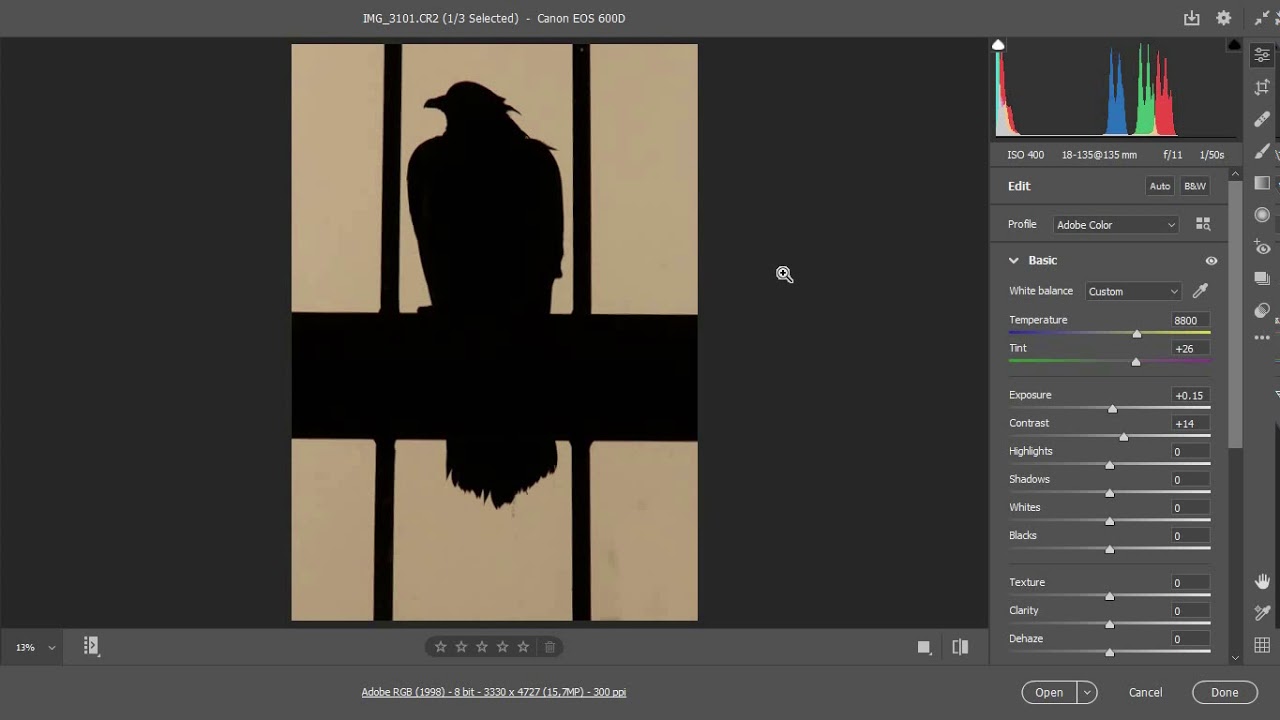 Photoshop Camera Raw 13 Renk Ölçümü Beyaz Dengesi Aleti
