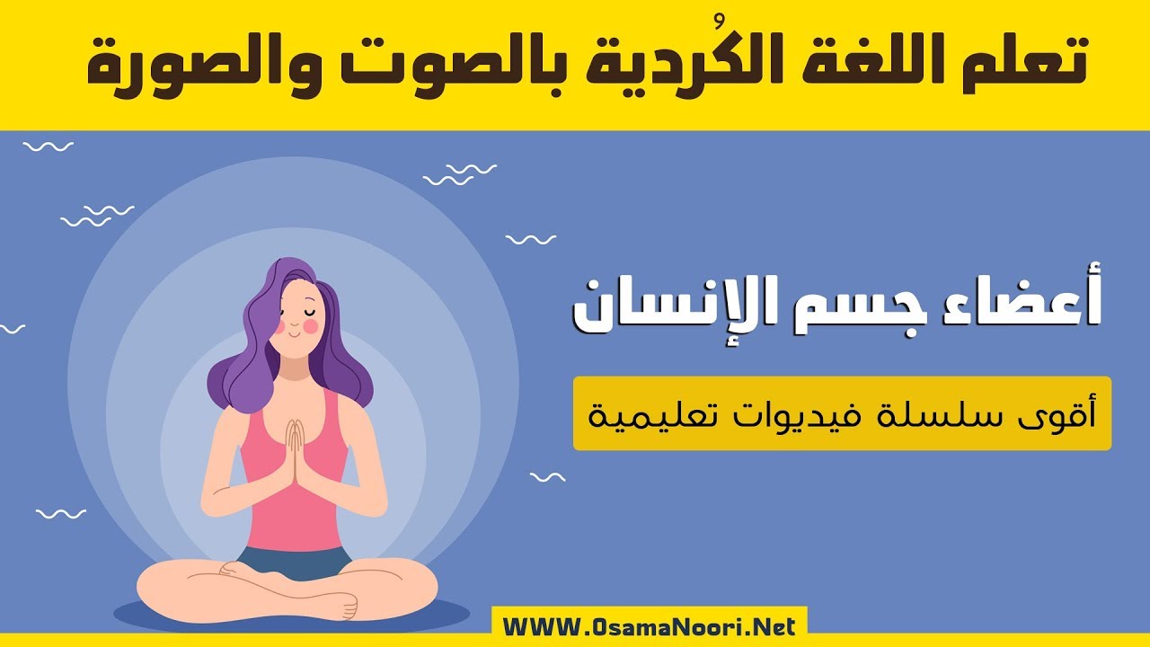 | تعلم اللغة الكردية - الجسم اعضاء الجسم| فێربوونی جڵفەی عێراقی جەستە و ئەندامەکانی