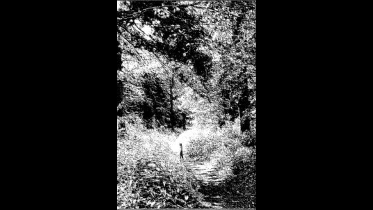 Forest Grave (UK) - By the Desolate Boughs of Old (Demo) 2013
